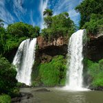 A leafy section of the Iguazú Falls
