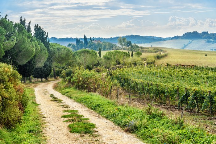 Tuscan Countryside