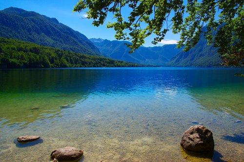 Take a dip in the pristine Lake Bohinj