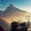 Stunning view of Machhapuchhre (Fishtail)