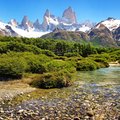 Mt. Fitz Roy surrounded by summer growth