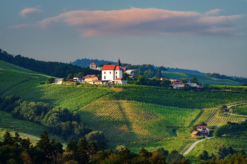 Specialist Interview: Wine Travel in Croatia, Slovenia, New Zealand, and Argentina