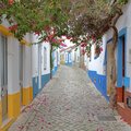 A bougainvillea-lined walkway in the Algarve