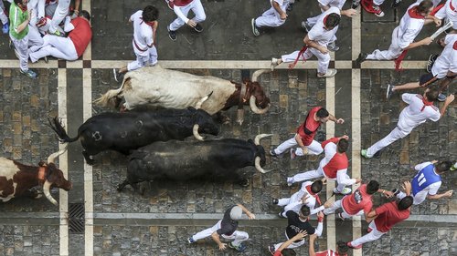 The brave might dare to run with the bulls in Pamplona, Spain