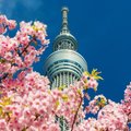 Tokyo Skytree in the Spring