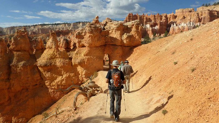 Trek through Utah's many National Parks