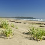 Long Beach, Pacific Rim National Park