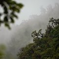 Cloud Forest in the Amazon Jungle