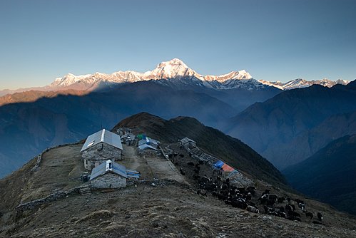 The view of Dhaulagiri from Khopra Danda