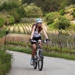 Istrian rolling hills and vineyards, Croatia