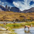 Torres del Paine National Park