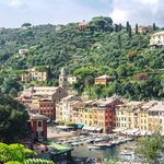 Portofino hillside & port 