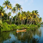 This area of South India is known for its palm-lined network of canals