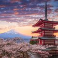 Stop in Mount Fuji on your way to Kyoto
