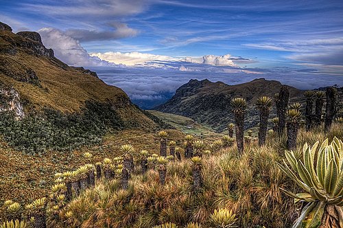 Paramillo del Quindío, PNN Los Nevados, Colombia