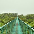 Hanging bridge in the jungle surrounding Arenal Volcano