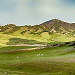 Mongolia Travel Agents