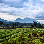 Rwanda Travel Agents