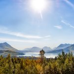 the United States Travel Agents