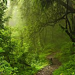 Thailand Travel Agents