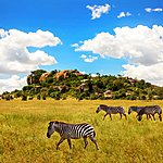 Tanzania Travel Agents