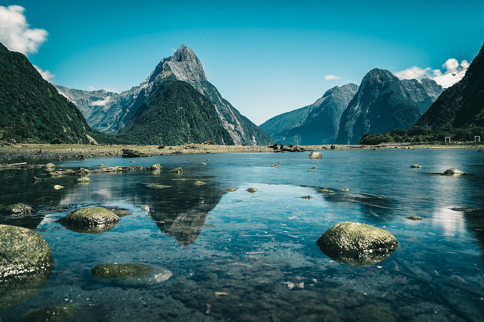 Australia vs. New Zealand: Better Together or Brilliant on Their Own?