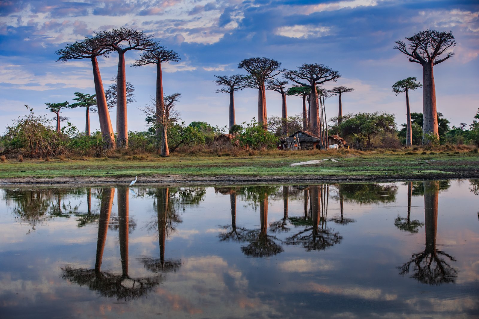 Madagascar Travel