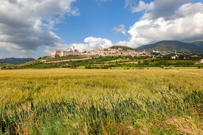 A distant view of the town of Assisi in Umbria