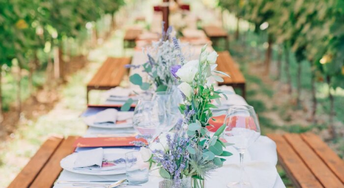 Dining & Wine Tasting in the Vineyard Rows