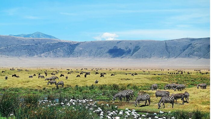 Ngorongoro Crater Tour