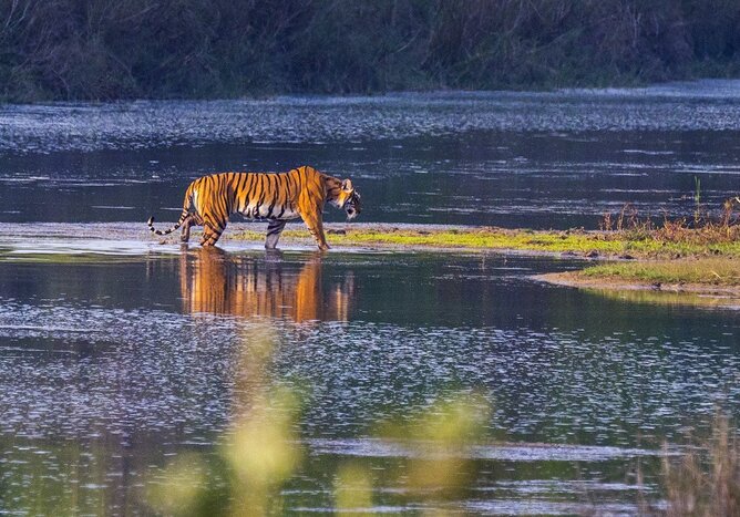 Best of Nepal's Bardia National Park - 5 Days