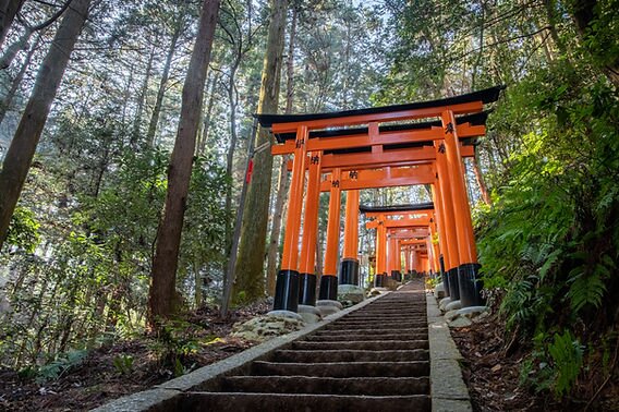 *Private Hiking tour around a Hidden Route of Fushimi Inari Taisha with a Local Lunch
