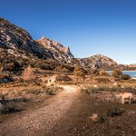 Tramuntana Mountains