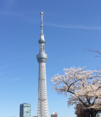 Tokyo’s Historic Temple and Glittering Skyline Moments（Guided Tour；Public Transportation）