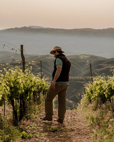 Luxury Jeep Tour to Manousakis Vineyard & Winery