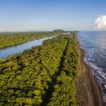 Beautiful vistas of the Tortuguero region open up from the top of Cerro Tortuguero