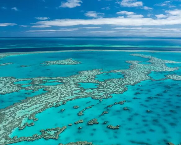 Great Barrier Reef Full Day Adventure