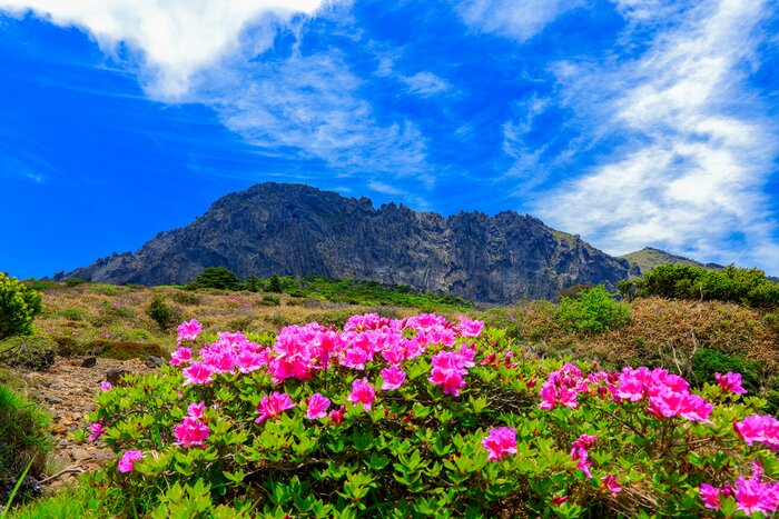 Catch some great views of Hallasan on a trekking adventure