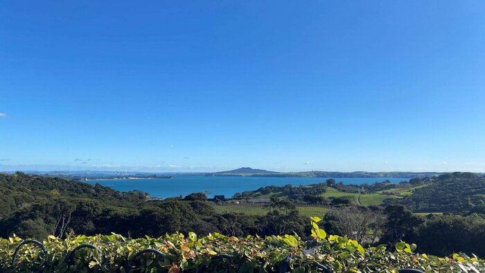 The Essence of Waiheke Wine Tour
