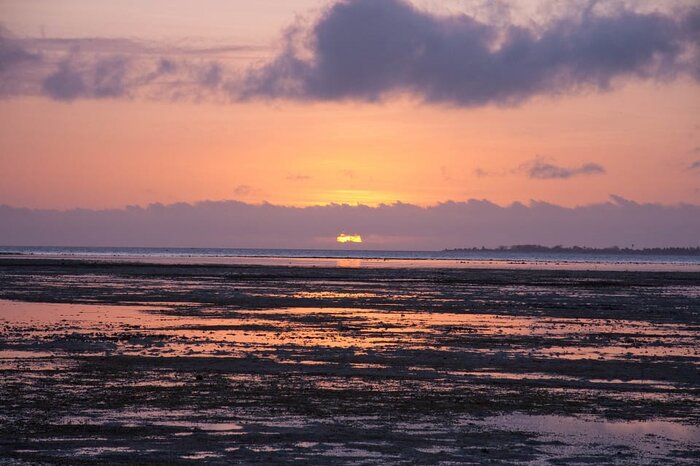 Puerto Princesa: Firefly Watching Bay Cruise with Dinner