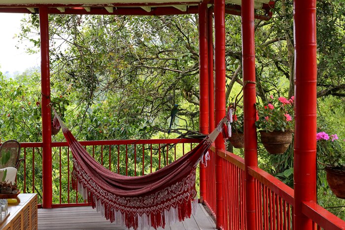 In between stays in Bogotá and Cartagena, you'll relax amid the lush coffee estates of the Zona Cafetera