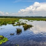 Enjoy a boat safari on the Nile River from Lake Victoria (its source), Uganda