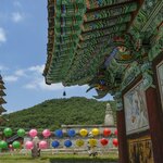 See the iconic sights of Seoul and spend a peaceful night in the tranquil Geumsunsa Temple