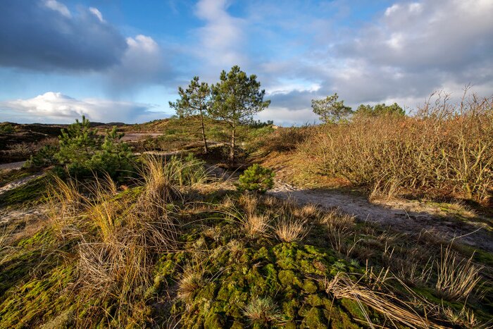 Bergen - Hiking in the area