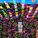  Delve into colorful colonial towns like San Miguel de Allende on this 10-day tour of Mexico City and its surroundings