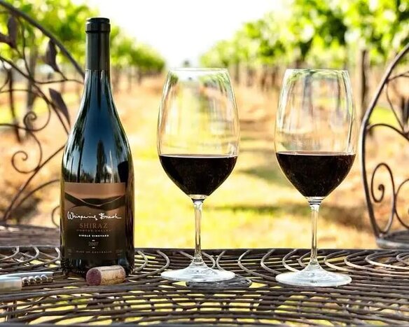 Sydney’s Hunter Valley Wine Tasting Tour