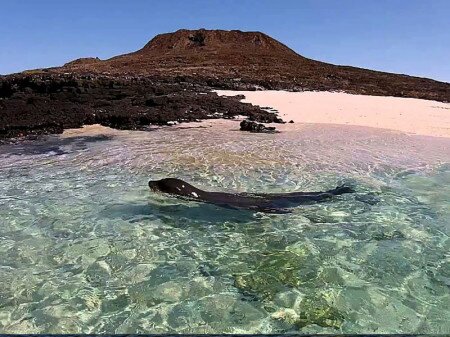 Chinese Hat (Santiago Island) & Rabida Island 