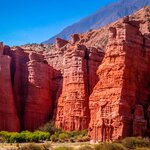 Giants of Quebrada de Cafayate