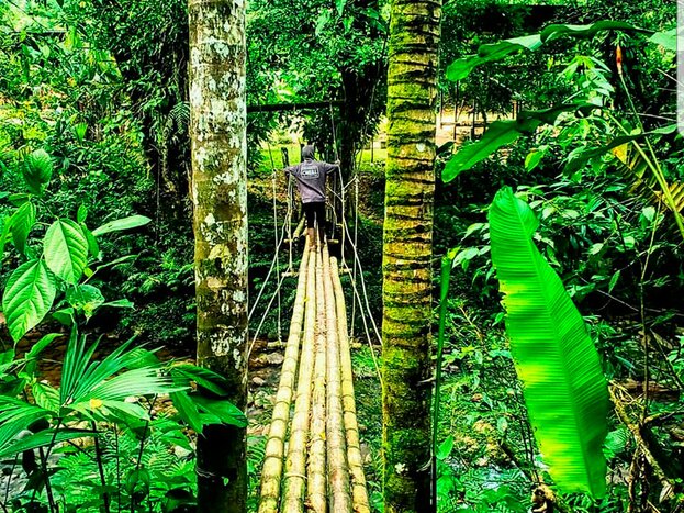 Transfer Quito - Rainforest Lodge in Archidona