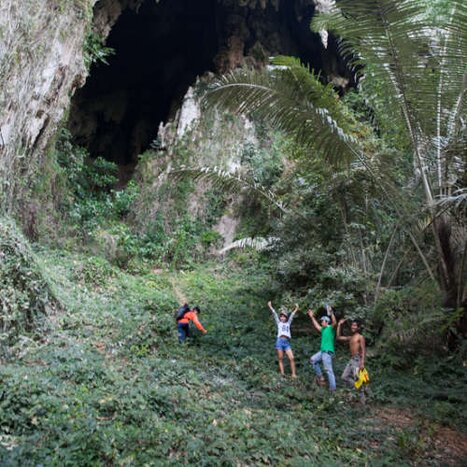 Our Jungle Resort - 4D3N Package (Tree House/Bungalow) - Day 2